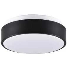 Світлодіодний стельовий світильник RENE 317445 Polux